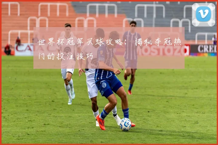 世界杯冠军买球攻略：揭秘夺冠热门的投注技巧